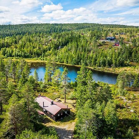 Ro I Sjelen. Hytte Til Leie Pa Skrim. Kongsberg Exterior photo