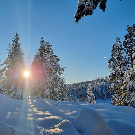 Ro I Sjelen. Hytte Til Leie Pa Skrim. Kongsberg Exterior photo