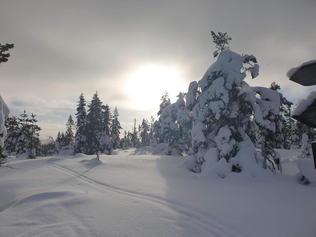 Ro I Sjelen. Hytte Til Leie Pa Skrim. Kongsberg Exterior photo