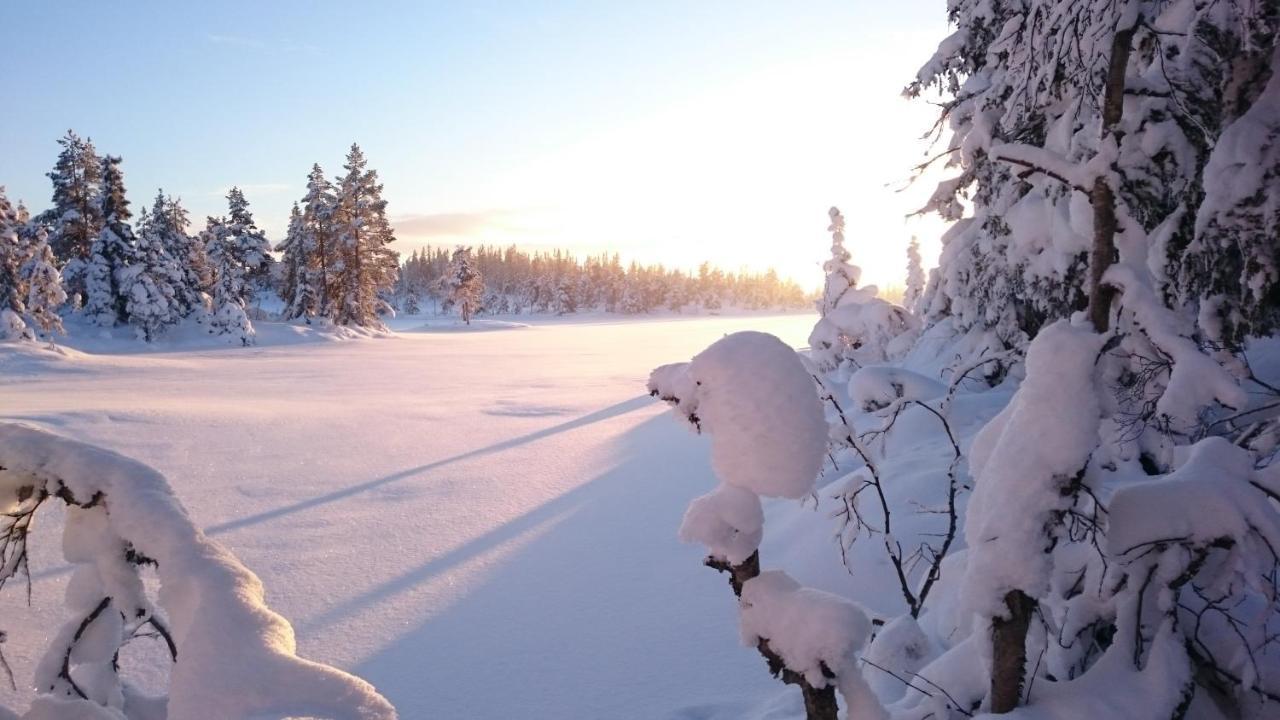 Ro I Sjelen. Hytte Til Leie Pa Skrim. Kongsberg Exterior photo