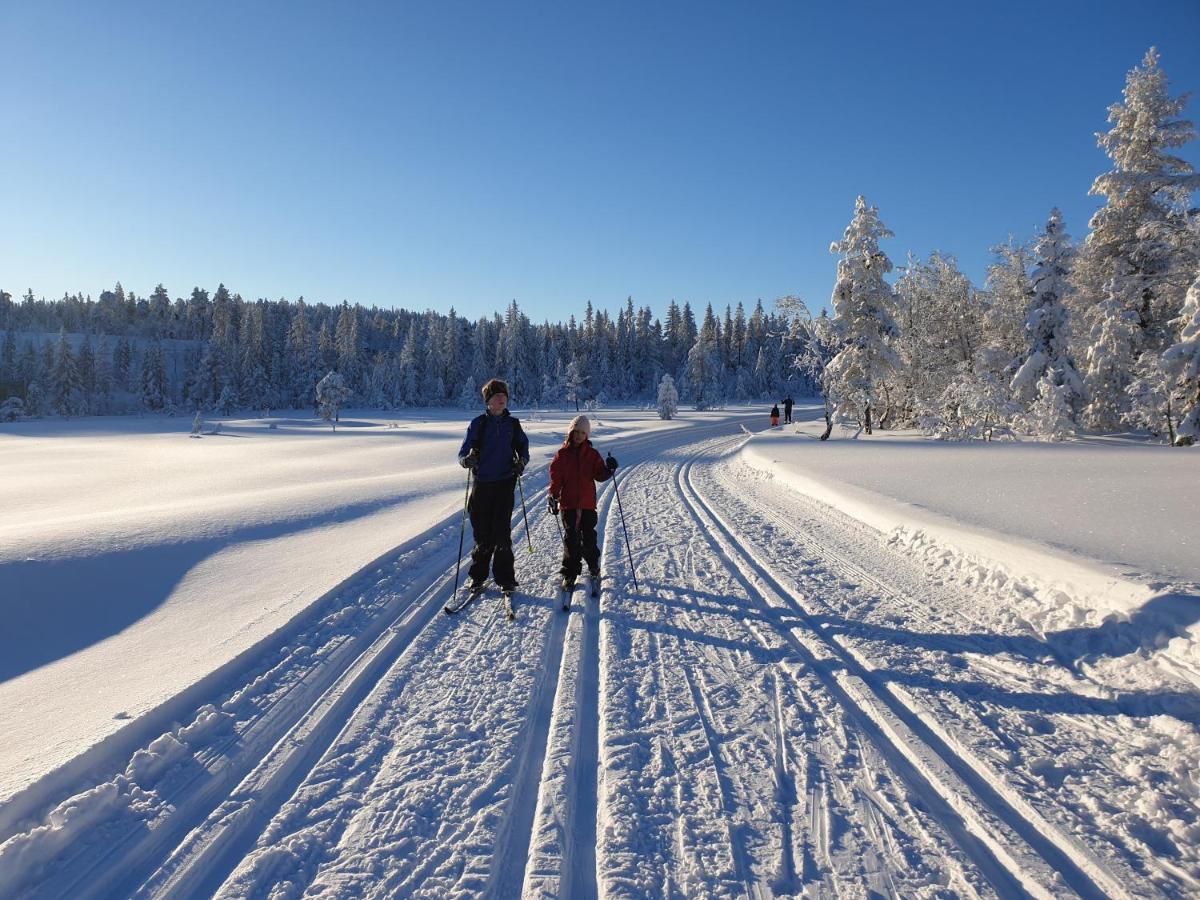 Ro I Sjelen. Hytte Til Leie Pa Skrim. Kongsberg Exterior photo