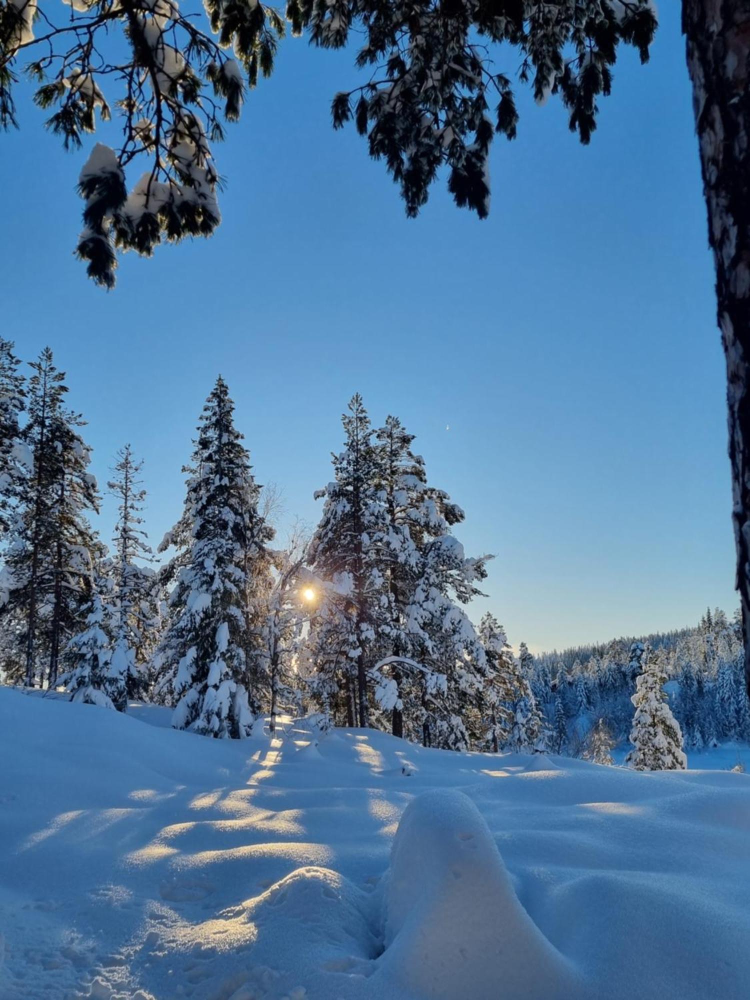 Ro I Sjelen. Hytte Til Leie Pa Skrim. Kongsberg Exterior photo