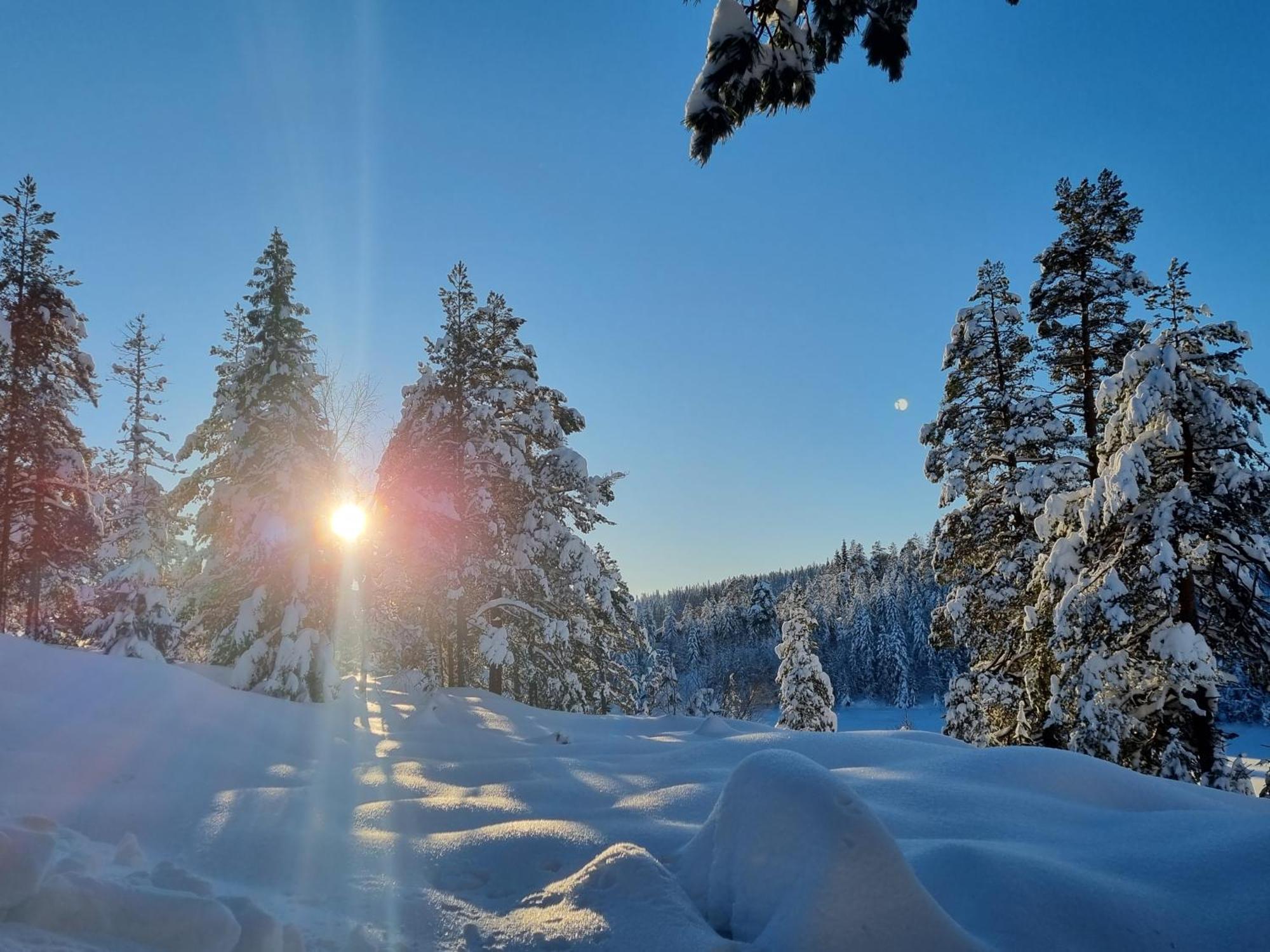 Ro I Sjelen. Hytte Til Leie Pa Skrim. Kongsberg Exterior photo